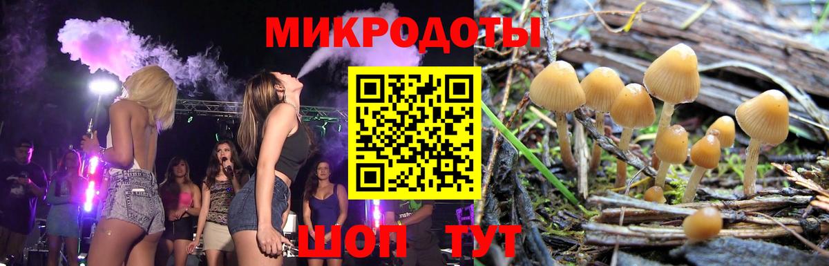 Псилоцибиновые грибы мицелий Волжский