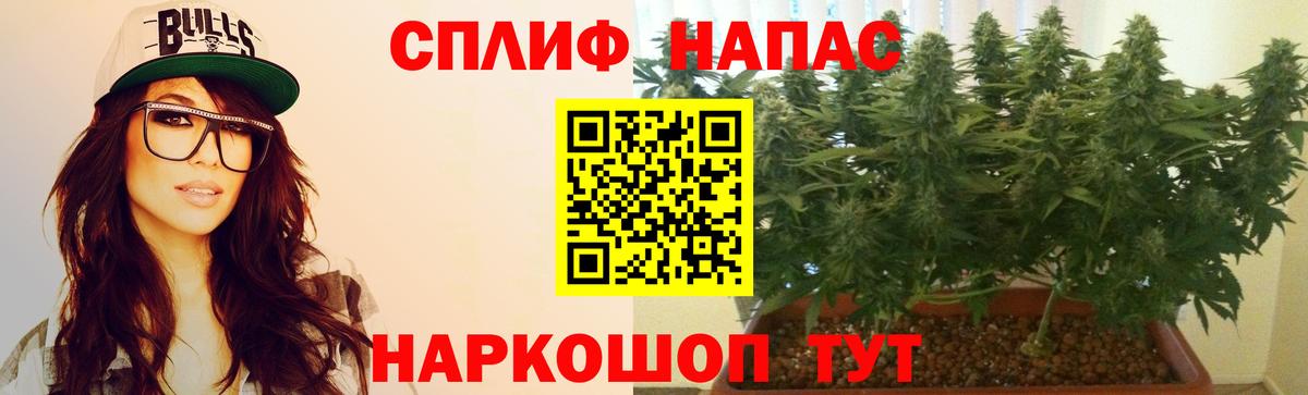 Волжский  Бошки Шишки SATIVA & INDICA  Вход с VPN  Канабис планчик  Бошки Шишки AK-47  Марихуана гибрид 